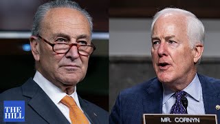 Sen. Chuck Schumer slams GOP senator for "crying crocodile tears" about using reconciliation