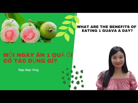 Video: Guavahedelmien käyttötarkoitukset: Mitä tehdä puutarhan guavoilla