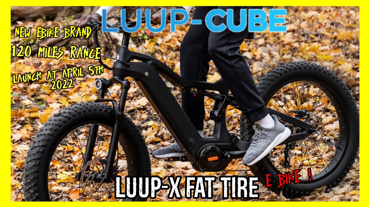 cube e fat bike