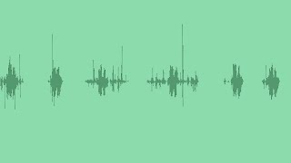 Toy Shaker Sound Effects