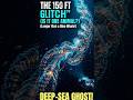The Ocean's Deepest Nightmare: The Siphonophore 🌊👾 #shorts #animals