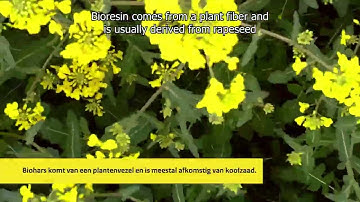 Introduction biocomposite NPSP