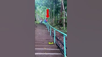 Kid Slides Down Stair Rail Like a Pro!