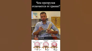 Чем протрузия отличается от грыжи?