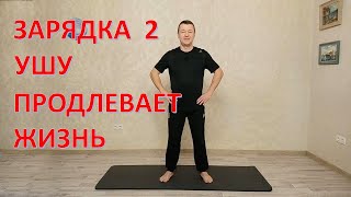 Зарядка №2. В стиле УШУ. Продлевает жизнь на один день.  Делает Вас бодрее, энергичнее, счастливее!