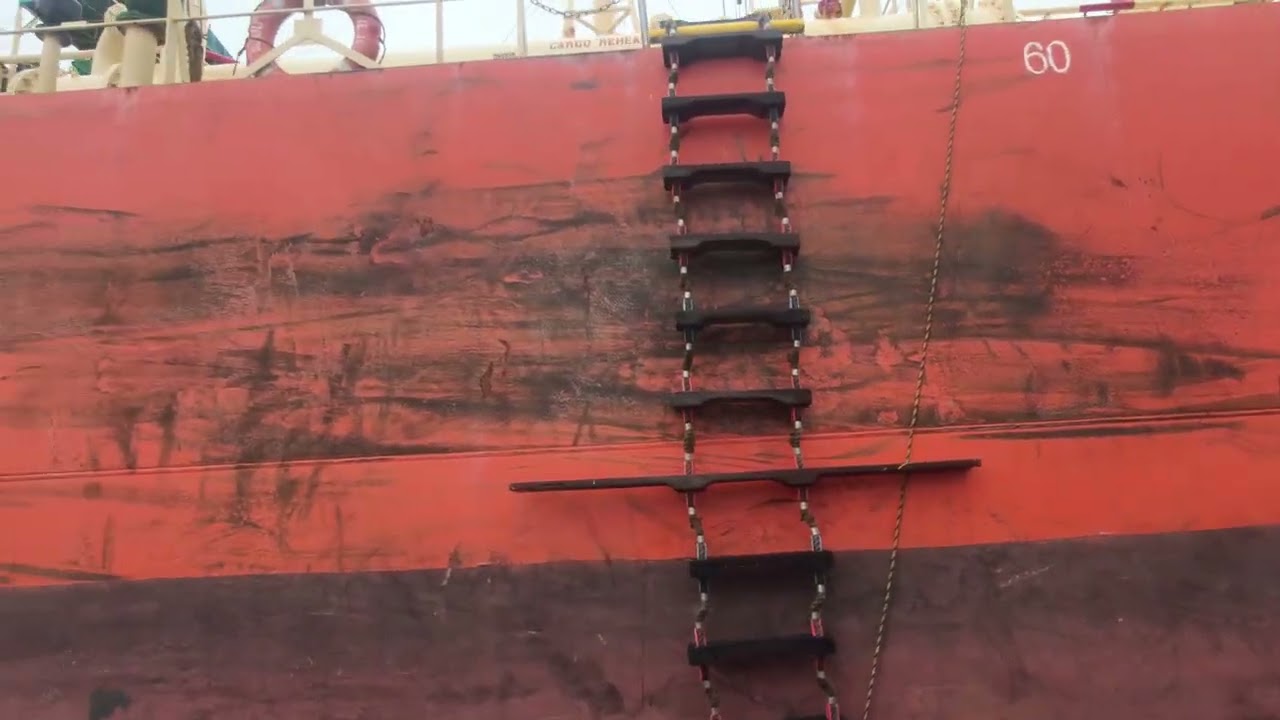 "DL LILY" SHIP IN PORT SINGAPORE PSA 2025