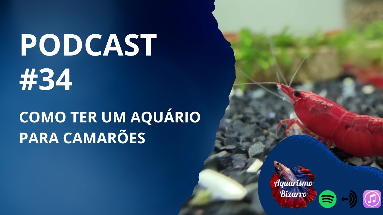 Aquarismo Bizarro Podcast #34 – Aquário de Camarões
