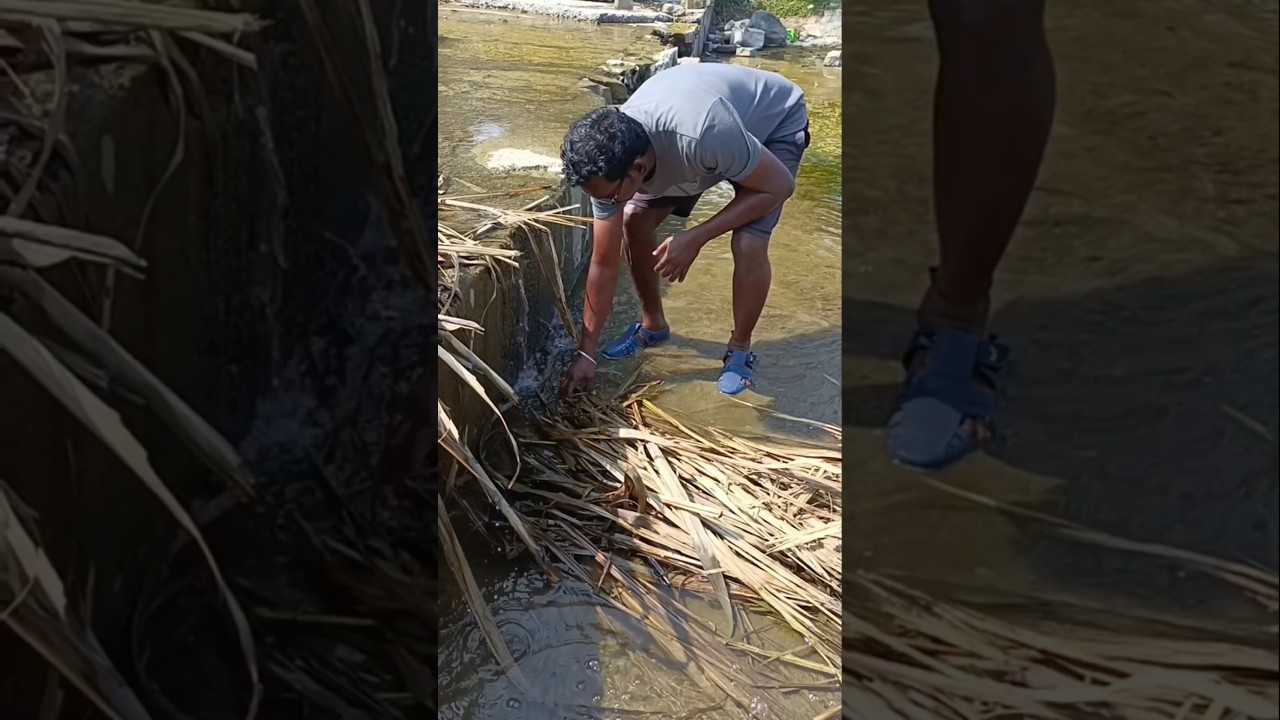 New method viral fishing 🦀