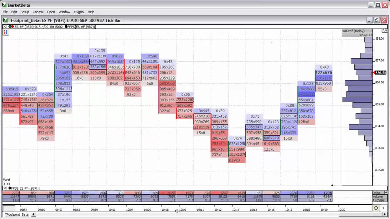 Footprint Chart Software