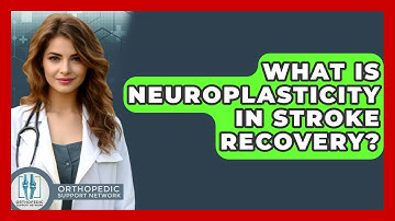 What Is Neuroplasticity In Stroke Recovery? - Orthopedic Support Network