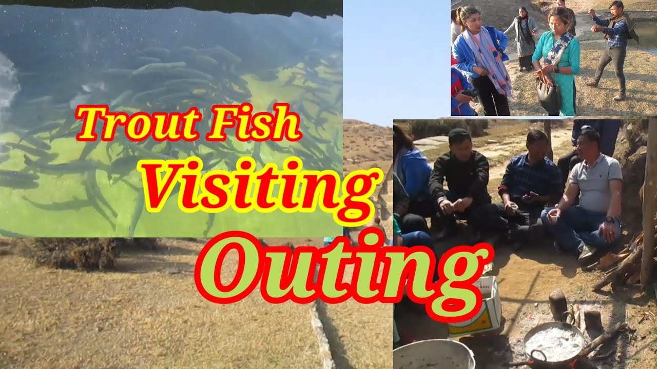Visiting trout fish farm and outing ट्राउट माछा हेर्न जाँदै घुम्न गको समय YouTube