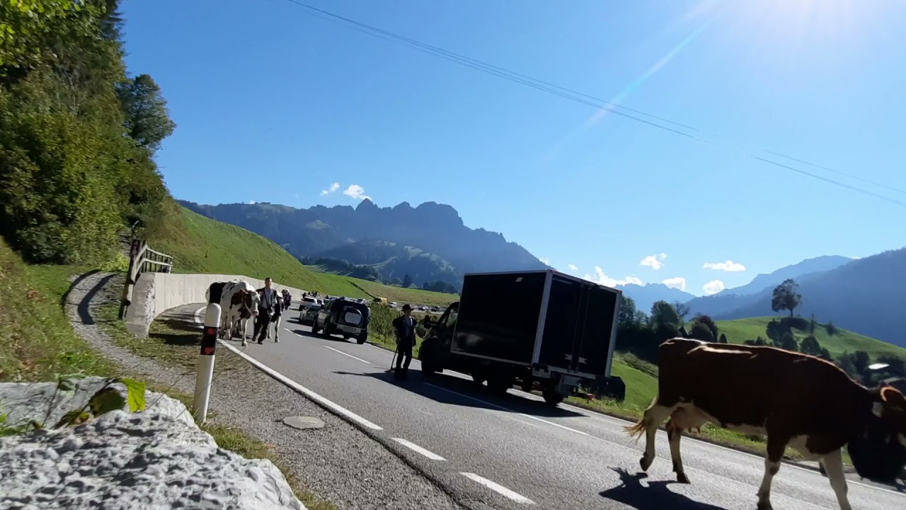 Désalpe famille Charrière-Pipoz, Pont du Javroz 2021