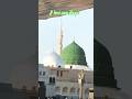 Aaqa ke Aashiq ka Hai Ek Nara ka | I love you Aaqa#islamicshorts #asadiqbal #naatsharif #shorts
