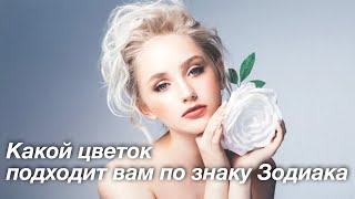 Какой цветок подходит вам по знаку Зодиака