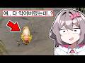 정신나간 레전드 더위 모음집ㅋㅋㅋ 정신나간 레전드 더위 모음집ㅋㅋㅋ
