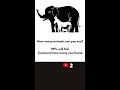 IQ-TEST: Can you solve it?