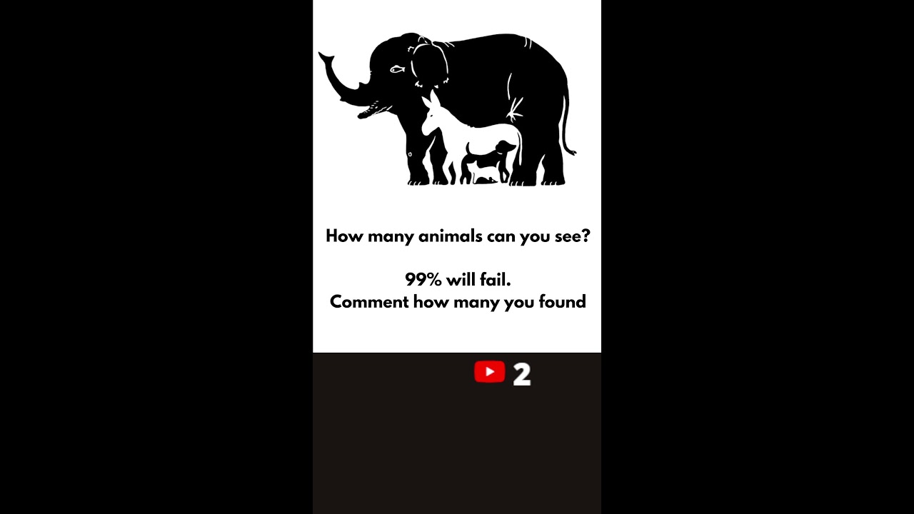 IQ-TEST: Can you solve it?