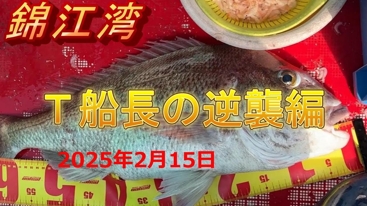 錦江湾　2月15日　真鯛釣り　＃鹿児島釣り　vo.32