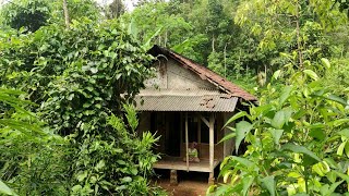 Nekat ‼ Sepasang Lansia Menghabiskan Masa Tua Tinggal Di Rumah Tengah Hutan Lereng Bukit