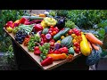 September Backyard Garden Harvest, Sustainable Permaculture at its Best