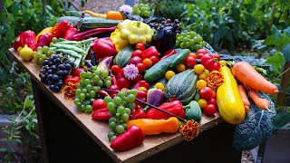 September Backyard Garden Harvest, Sustainable Permaculture at its Best