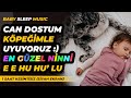 Can Dostum Köpeğimle Uyuyoruz :) En Güzel Ninni (ee ee hu hu&#39; lu) - Lullaby - Baby Sleep Music