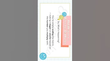 Multiplying a Matrix by a Real Number | Simple Math with Engliopedia