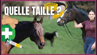 QUELLE TAILLE FONT MES CHEVAUX ?! - Baly a encore un gros soucis :(