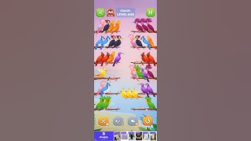 #bird #sort #level 648