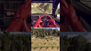 The Car: Destroyed. The Meme: Revived.  #pcgaming, #racing, #simracing, #dirtrally2, #shorts