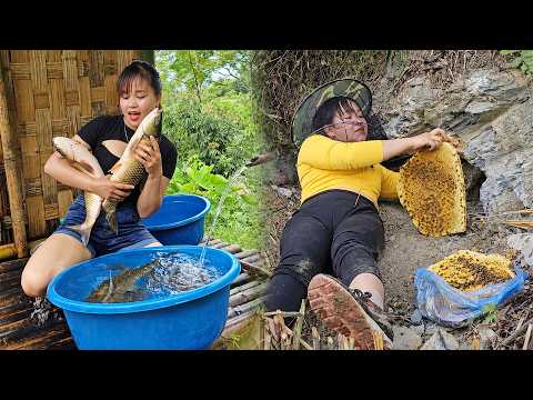 Full Day of Farm Life: Harvesting Fish, Wild Honey & Ant Eggs for Traditional Cakes!