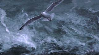 Simon and Garfunkel- Bridge Over Troubled Water