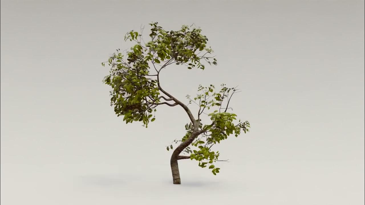 Tree Animation - YouTube