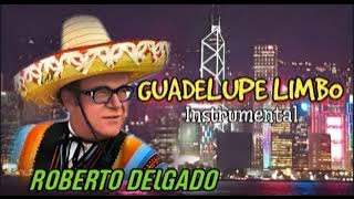 Roberto Delgado - Guadelupe Limbo (Instrumental)