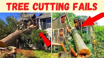 Tree Cutting Fails Close Calls And Near Misses