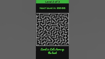 Maze Puzzle Brain Games: Can You Solve All 3 Levels? 🧩🤔