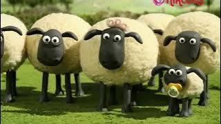 @poltavafan95 Баранчик Шон - Сезон 2 - всі серії підряд - УКРАЇНСЬКОЮ