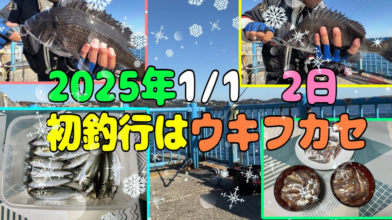 2025年1月1日、2日と神奈川県の端っこの場所でメジナ狙いのウキフカセ釣りやったら予想もしない魚が入れ食いしちゃった。