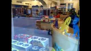 WE VISIT DOGGYSTYLE NYC THE STYLISH GREENWICH VILLAGE PET STORE