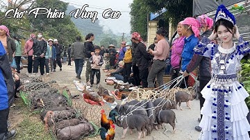 CHỢ SÍN CHÉNG LÀO CAI - PHIÊN CHỢ MIỀN NÚI TÂY BẮC CÒN GIỮ ĐƯỢC NÉT NGUYÊN SƠ - BÁN NHIỀU ĐỒ ĐỘC LẠ