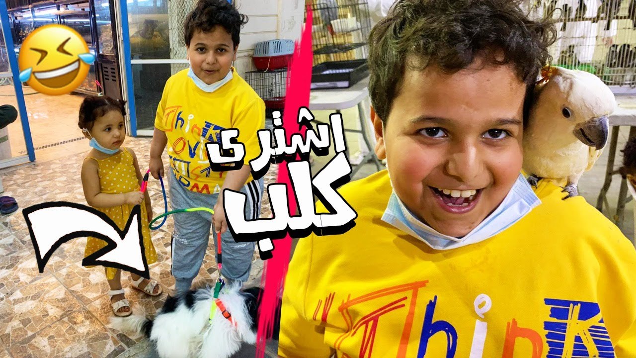 البطريق يشتري كلب وبغباء 😂💔