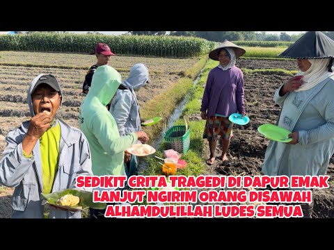 Pawon Signature Pindang Dan Bebek Khas Palembang Photos