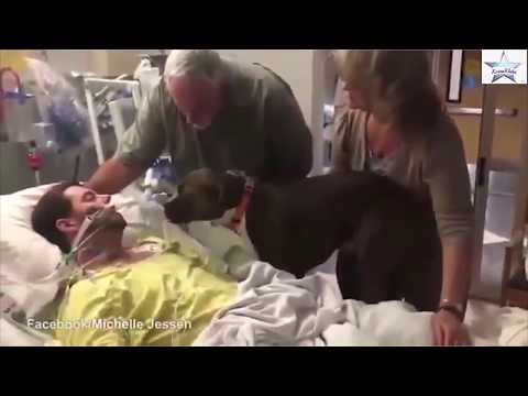 Video: Kun Skyrim-muokkaimen Koira Kuoli, Hän Kuoletti Hänet Tähän Kauniiseen Kunnianosoitukseen
