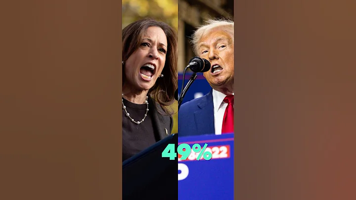 Trump and Harris Are Locked in a Swing-State Dead Heat: Poll