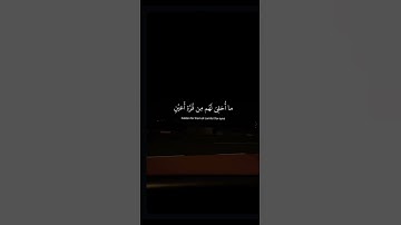#القارئ #عبدالرحمن_مسعد