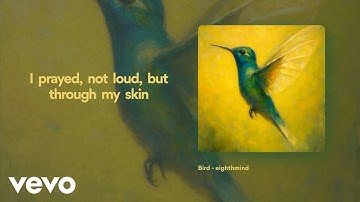 eighthmind - Bird (Official Music Video)