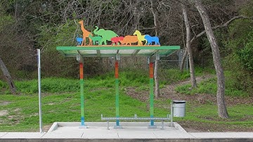 WATCH: Timelapse shows SA Zoo-themed transformation of VIA bus stop