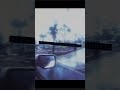 #music edit# sorry I tried my best to and congrats on 12 subscribers!!! Thank you guys so much!!
