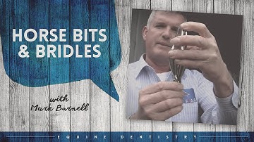 Equine Dentistry |  Horse Bits & Bridles Explained with Equine Dentist Mark Burnell | Horseland