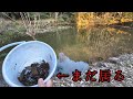 まだまだザリガニ居るみたいなので毎日罠上げる
